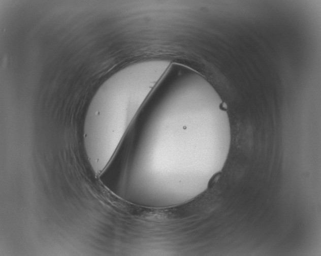 X0000077370075200610201025