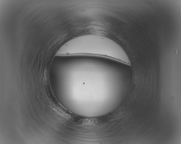 X0000077370077200610201025