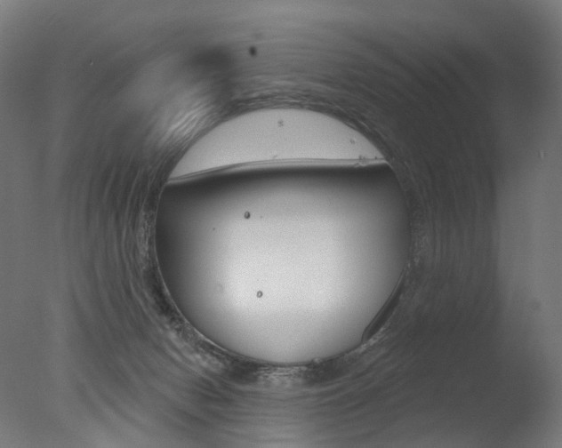 X0000077370078200610201025