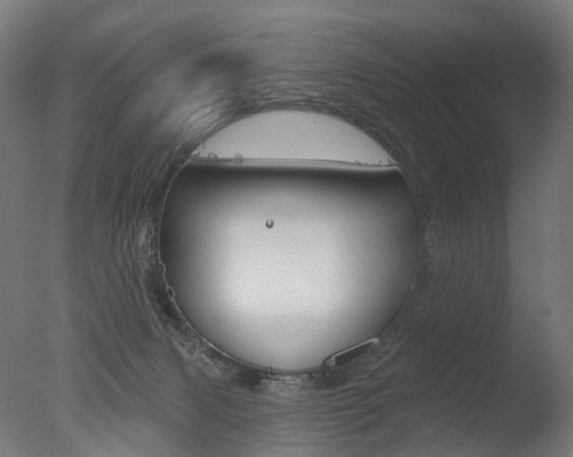 X0000077370079200610201025