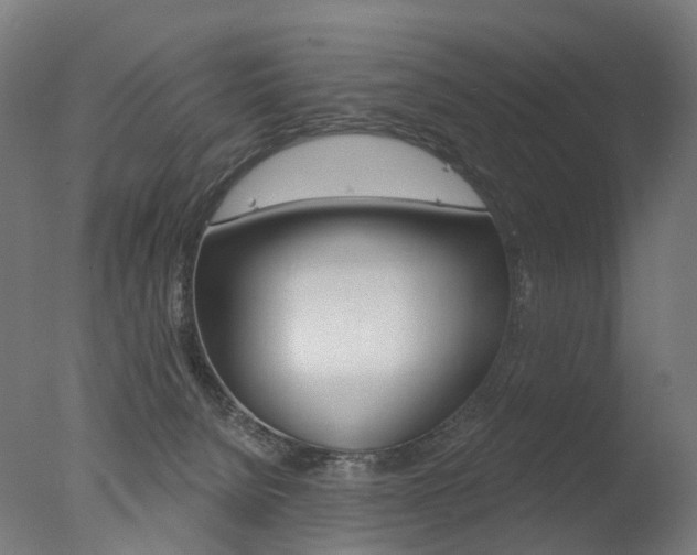 X0000077370080200610201025