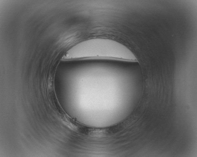 X0000077370081200610201025