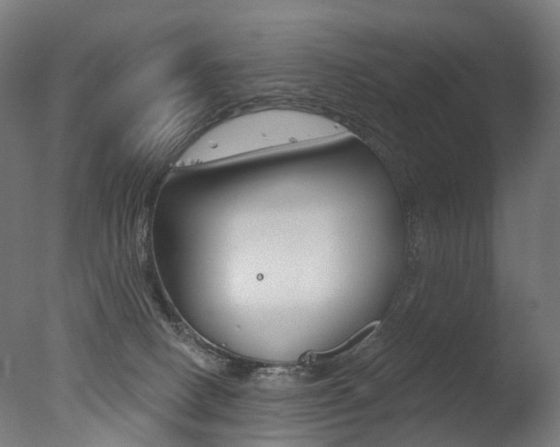 X0000077370082200610201025