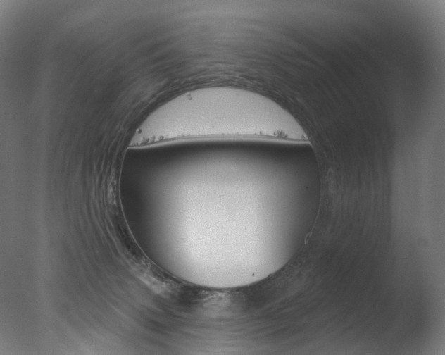 X0000077370083200610201025