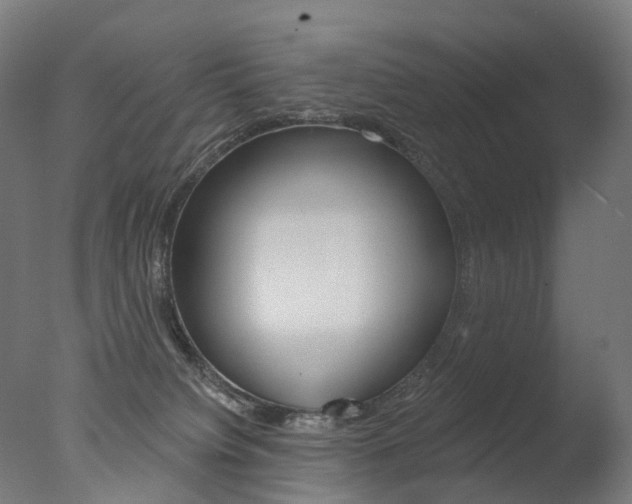 X0000077370084200610201025