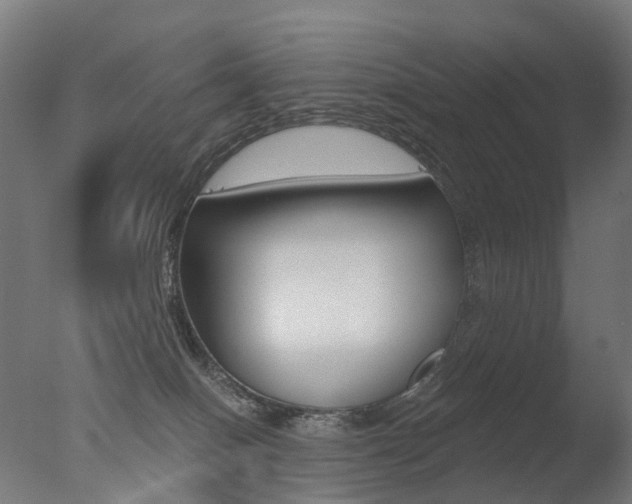 X0000077370086200610201025