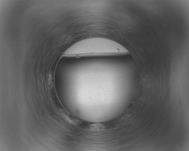 X0000077370087200610201025