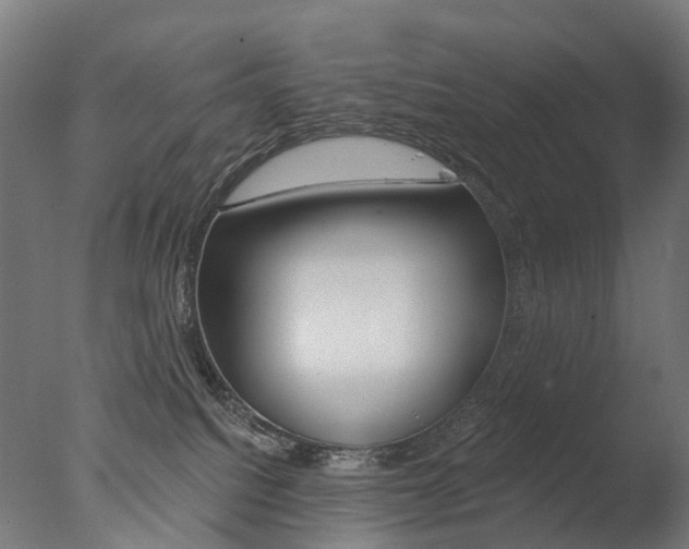 X0000077370088200610201025