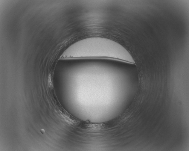 X0000077370089200610201025