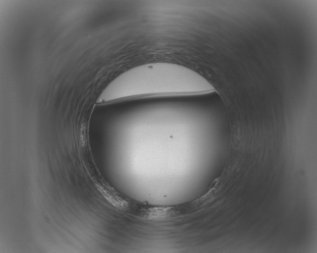 X0000077370090200610201025