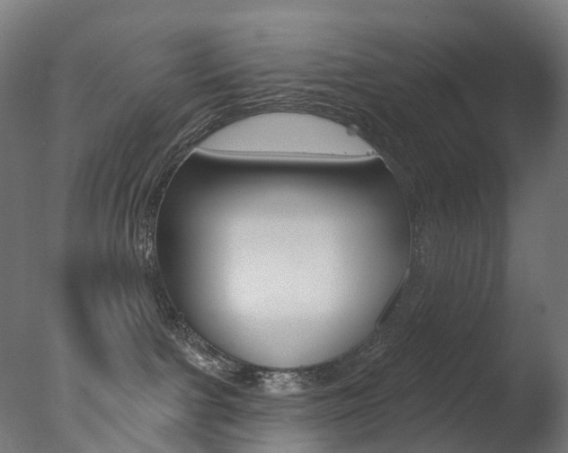 X0000077370091200610201025