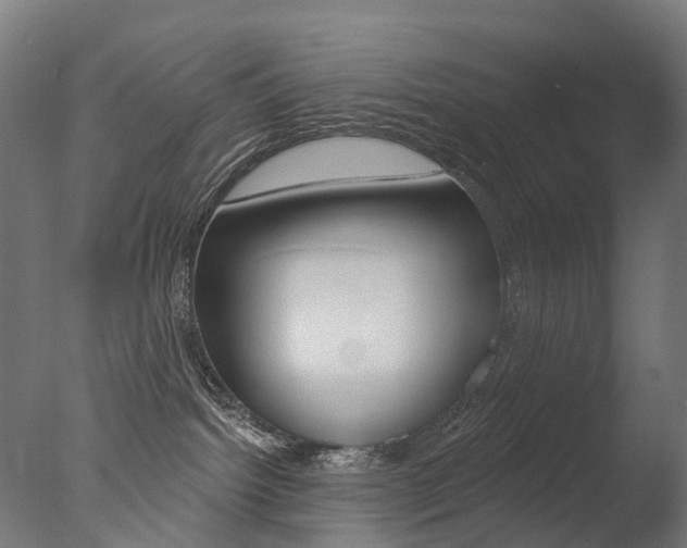 X0000077370092200610201025