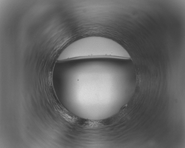 X0000077370093200610201025