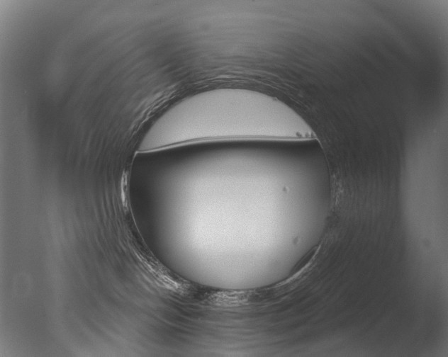 X0000077370094200610201025