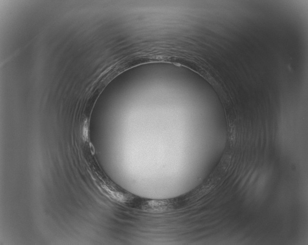 X0000077370095200610201025