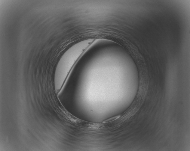 X0000077370096200610201025