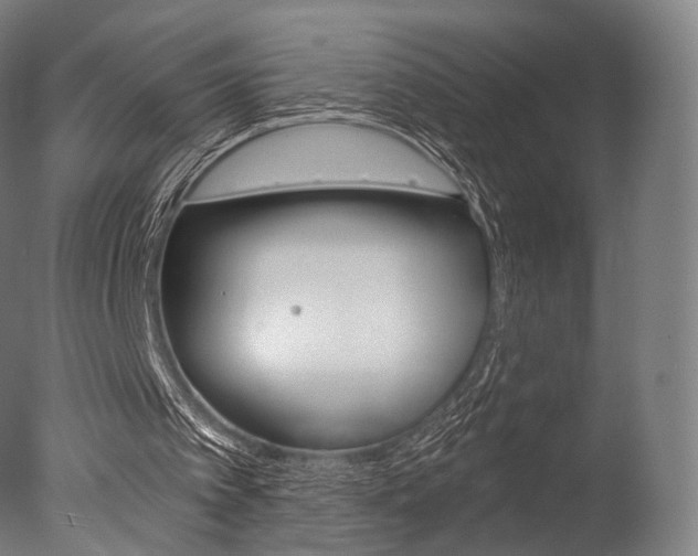 X0000077370097200610201025