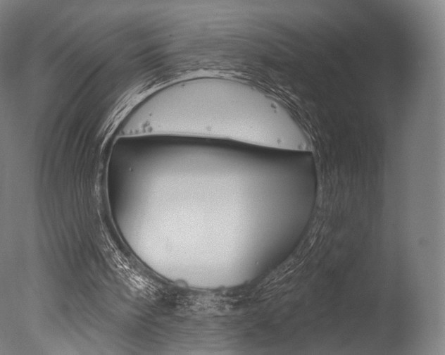 X0000077370098200610201025