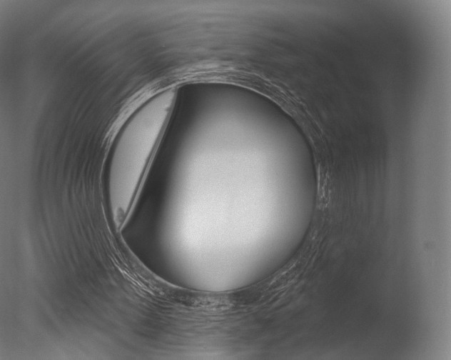 X0000077370099200610201025