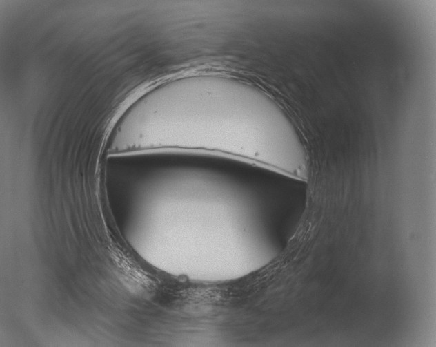 X0000077370100200610201025