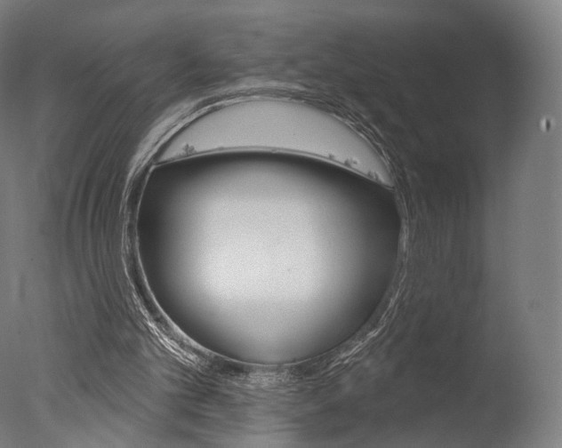 X0000077370101200610201025