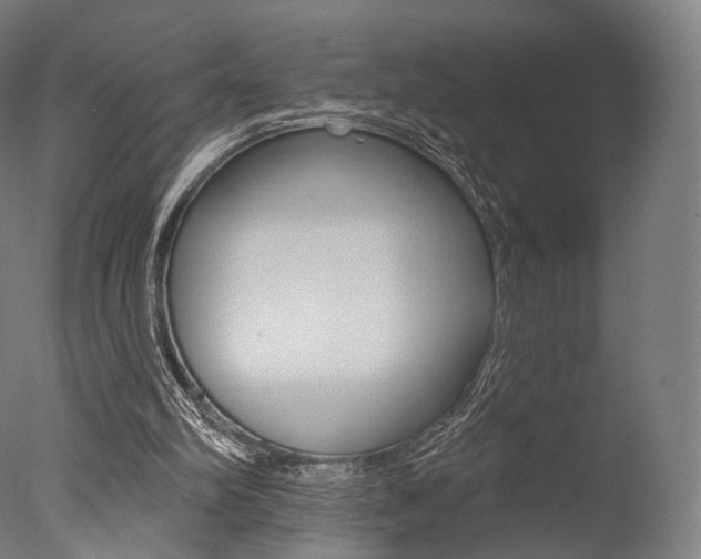 X0000077370102200610201024