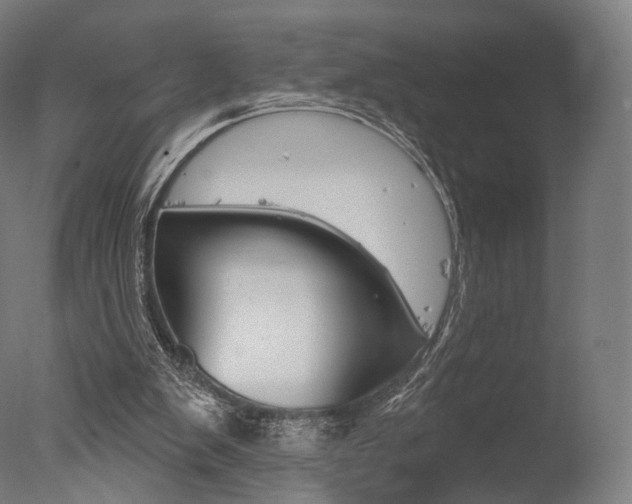 X0000077370103200610201024