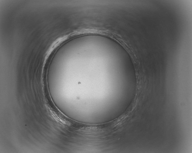 X0000077370104200610201024