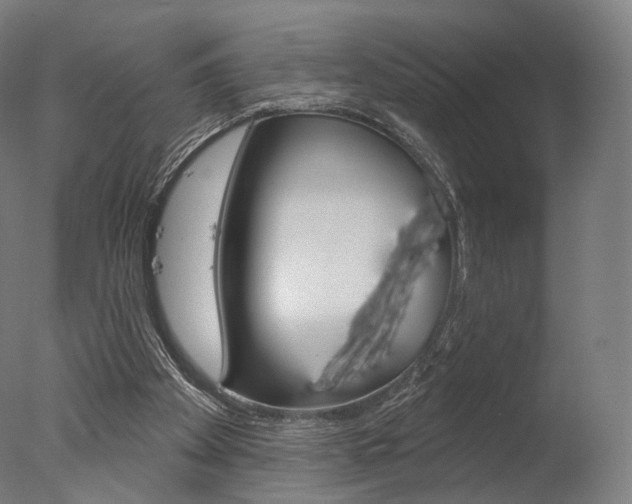 X0000077370105200610201024