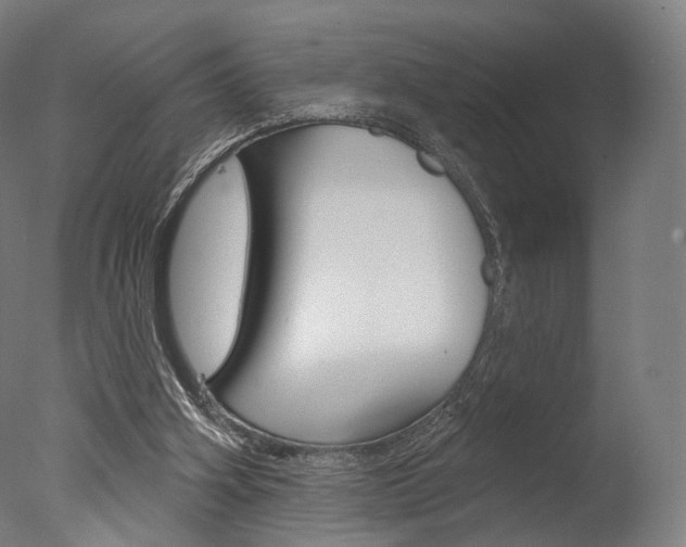 X0000077370106200610201024