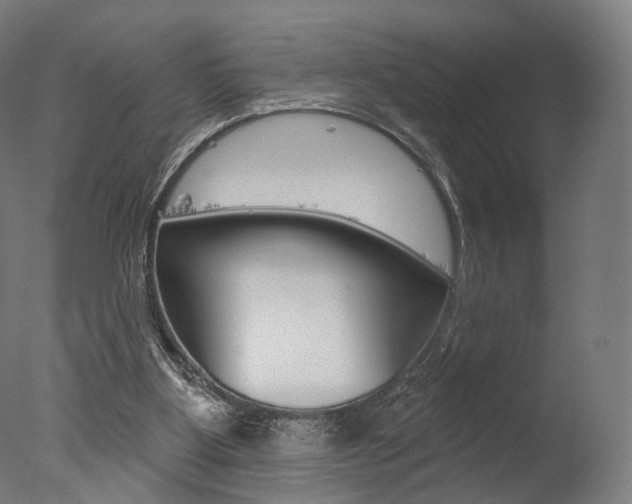 X0000077370107200610201024