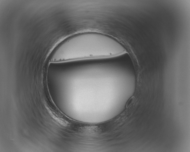 X0000077370108200610201024