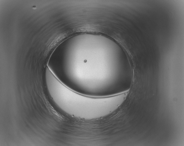 X0000077370109200610201024