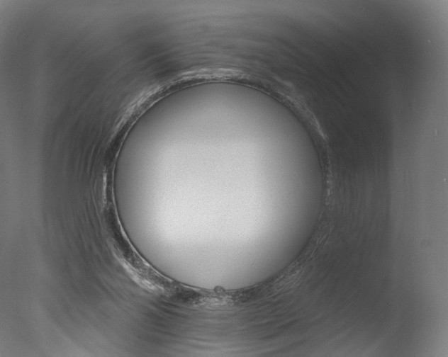 X0000077370110200610201024