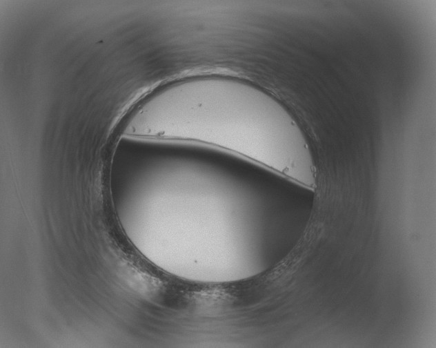 X0000077370112200610201024