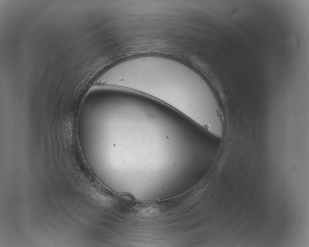 X0000077370113200610201024