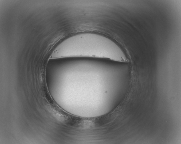 X0000077370114200610201024