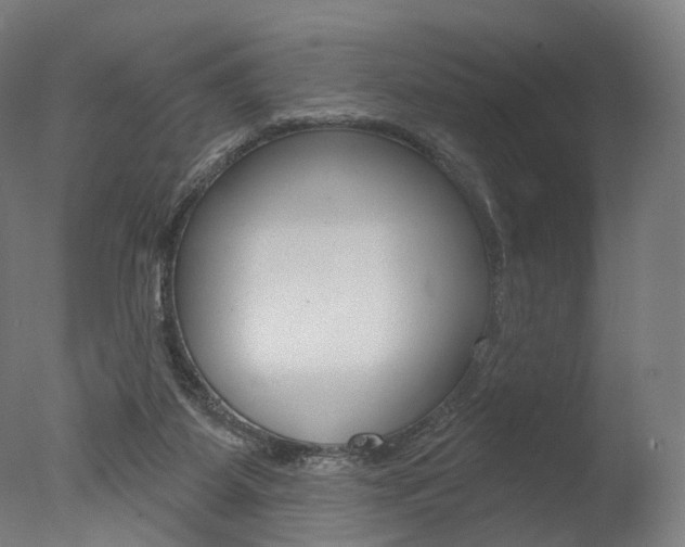 X0000077370115200610201024