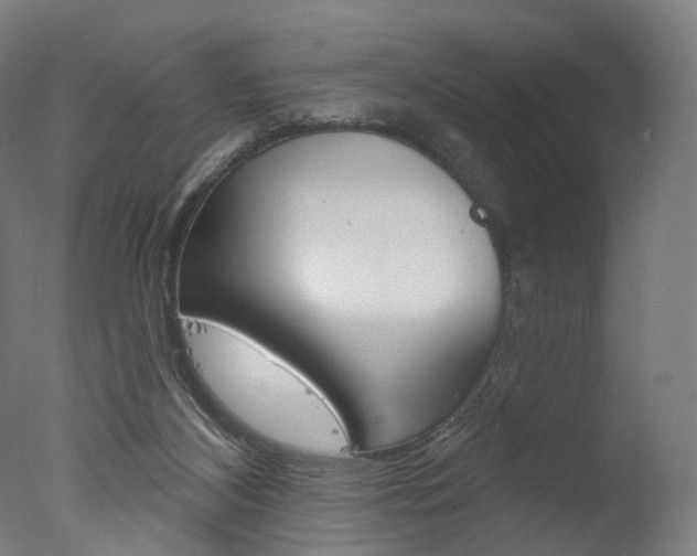 X0000077370116200610201024