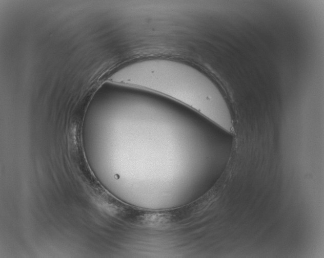 X0000077370117200610201024