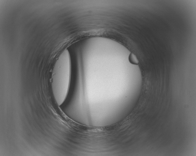 X0000077370118200610201024