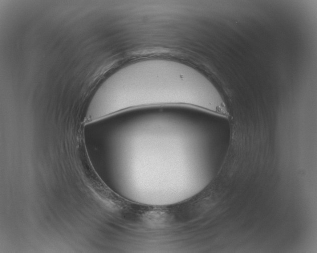 X0000077370119200610201024