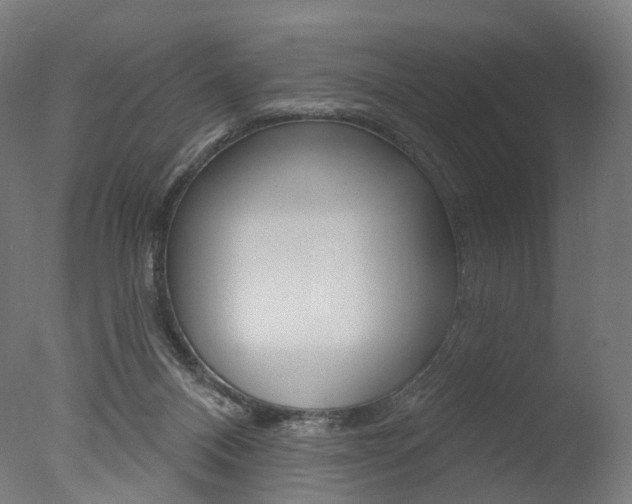 X0000077370120200610201024