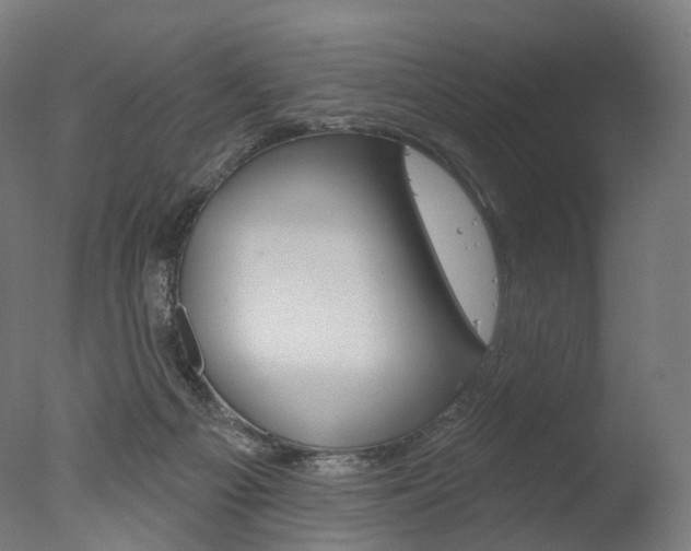 X0000077370121200610201024