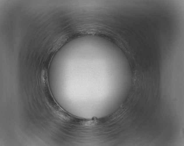 X0000077370122200610201024