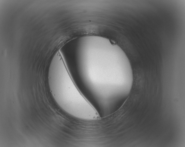 X0000077370123200610201024