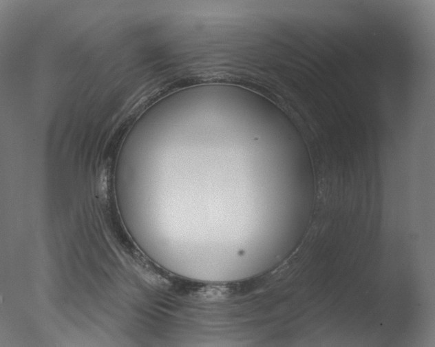 X0000077370124200610201024