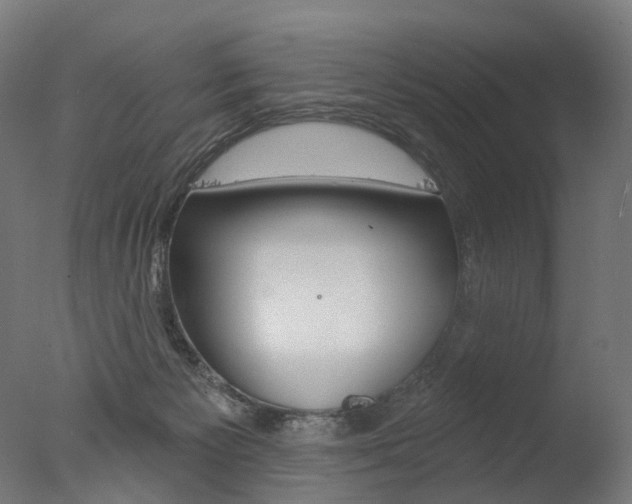 X0000077370125200610201024