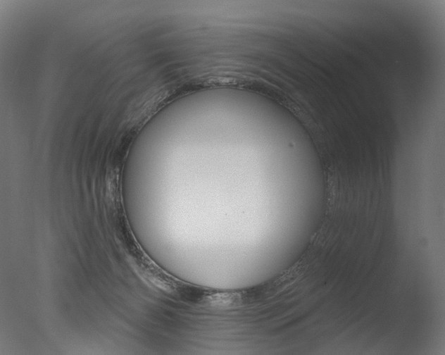 X0000077370126200610201024