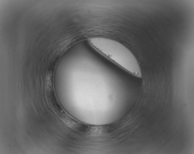 X0000077370127200610201024